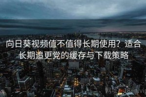 向日葵视频值不值得长期使用？适合长期追更党的缓存与下载策略