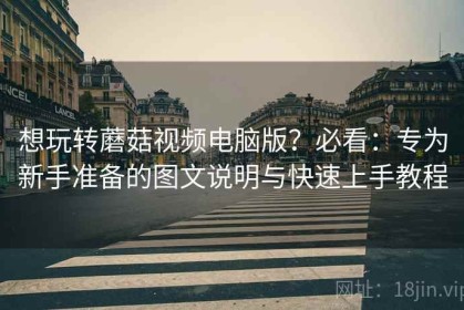 想玩转蘑菇视频电脑版？必看：专为新手准备的图文说明与快速上手教程