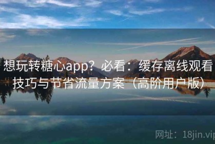 想玩转糖心app？必看：缓存离线观看技巧与节省流量方案（高阶用户版）