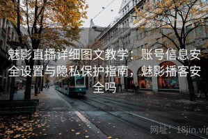 魅影直播详细图文教学：账号信息安全设置与隐私保护指南，魅影播客安全吗
