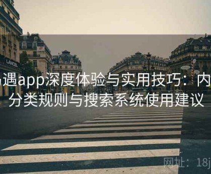 岛遇app深度体验与实用技巧：内容分类规则与搜索系统使用建议