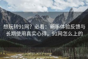 想玩转91网？必看：新手体验反馈与长期使用真实心得，91网怎么上的