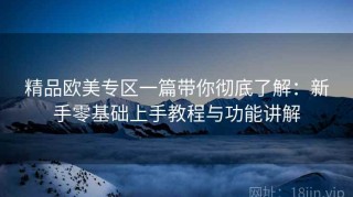 精品欧美专区一篇带你彻底了解：新手零基础上手教程与功能讲解