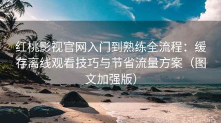红桃影视官网入门到熟练全流程：缓存离线观看技巧与节省流量方案（图文加强版）
