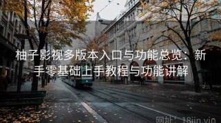 柚子影视多版本入口与功能总览：新手零基础上手教程与功能讲解