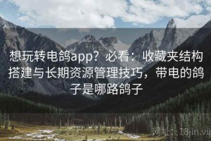 想玩转电鸽app？必看：收藏夹结构搭建与长期资源管理技巧，带电的鸽子是哪路鸽子
