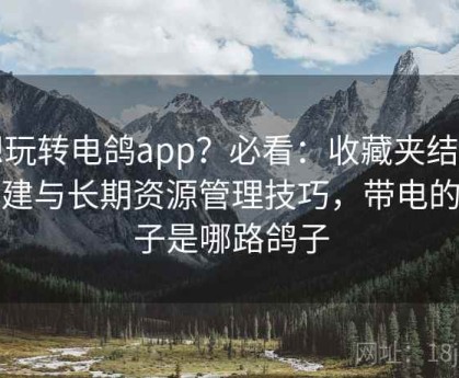 想玩转电鸽app？必看：收藏夹结构搭建与长期资源管理技巧，带电的鸽子是哪路鸽子