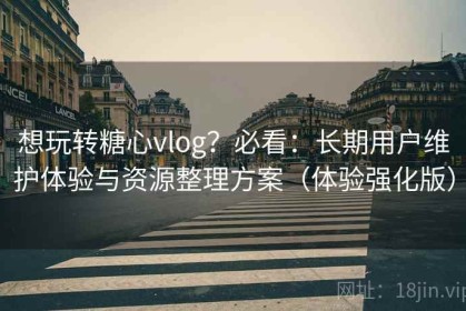 想玩转糖心vlog？必看：长期用户维护体验与资源整理方案（体验强化版）