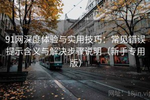 91网深度体验与实用技巧：常见错误提示含义与解决步骤说明（新手专用版）