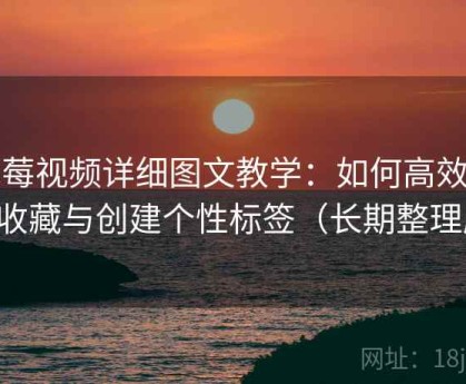 草莓视频详细图文教学：如何高效管理收藏与创建个性标签（长期整理版）