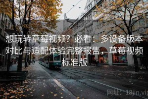 想玩转草莓视频？必看：多设备版本对比与适配体验完整报告，草莓视频标准版