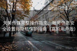 天美传媒完整操作指南：账号信息安全设置与隐私保护指南（高阶用户版）