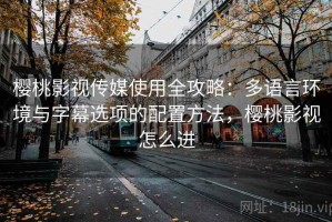 樱桃影视传媒使用全攻略：多语言环境与字幕选项的配置方法，樱桃影视怎么进