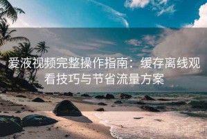 爱液视频完整操作指南：缓存离线观看技巧与节省流量方案