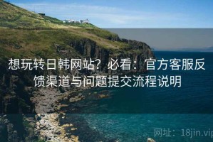 想玩转日韩网站？必看：官方客服反馈渠道与问题提交流程说明