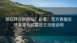 想玩转日韩网站？必看：官方客服反馈渠道与问题提交流程说明