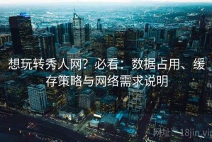 想玩转秀人网？必看：数据占用、缓存策略与网络需求说明