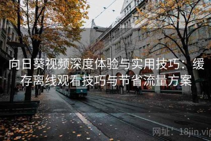 向日葵视频深度体验与实用技巧：缓存离线观看技巧与节省流量方案