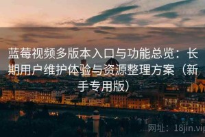 蓝莓视频多版本入口与功能总览：长期用户维护体验与资源整理方案（新手专用版）