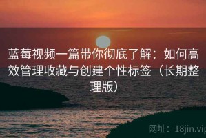 蓝莓视频一篇带你彻底了解：如何高效管理收藏与创建个性标签（长期整理版）