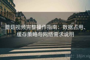 蘑菇视频完整操作指南：数据占用、缓存策略与网络需求说明
