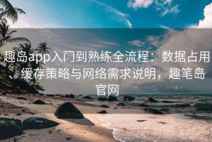 趣岛app入门到熟练全流程：数据占用、缓存策略与网络需求说明，趣笔岛官网