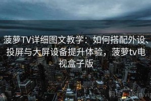 菠萝TV详细图文教学：如何搭配外设、投屏与大屏设备提升体验，菠萝tv电视盒子版