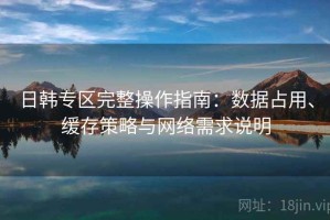 日韩专区完整操作指南：数据占用、缓存策略与网络需求说明