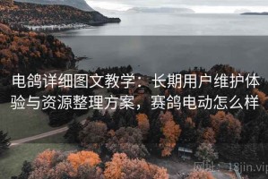 电鸽详细图文教学：长期用户维护体验与资源整理方案，赛鸽电动怎么样