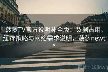菠萝TV官方说明补全版：数据占用、缓存策略与网络需求说明，菠萝newtv