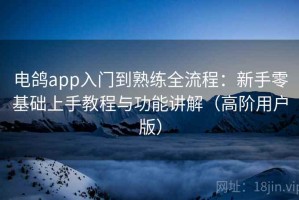 电鸽app入门到熟练全流程：新手零基础上手教程与功能讲解（高阶用户版）