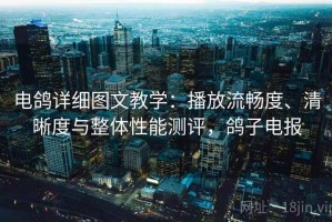 电鸽详细图文教学：播放流畅度、清晰度与整体性能测评，鸽子电报