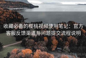 收藏必备的樱桃视频使用笔记：官方客服反馈渠道与问题提交流程说明