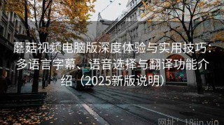 蘑菇视频电脑版深度体验与实用技巧：多语言字幕、语音选择与翻译功能介绍（2025新版说明）