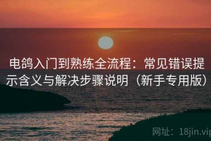 电鸽入门到熟练全流程：常见错误提示含义与解决步骤说明（新手专用版）
