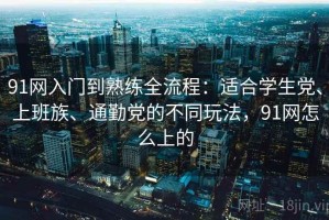 91网入门到熟练全流程：适合学生党、上班族、通勤党的不同玩法，91网怎么上的