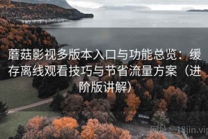 蘑菇影视多版本入口与功能总览：缓存离线观看技巧与节省流量方案（进阶版讲解）