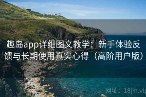 趣岛app详细图文教学：新手体验反馈与长期使用真实心得（高阶用户版）