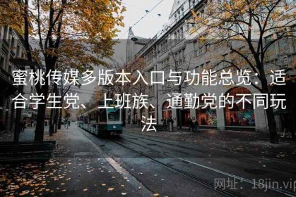 蜜桃传媒多版本入口与功能总览：适合学生党、上班族、通勤党的不同玩法
