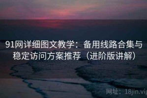 91网详细图文教学：备用线路合集与稳定访问方案推荐（进阶版讲解）