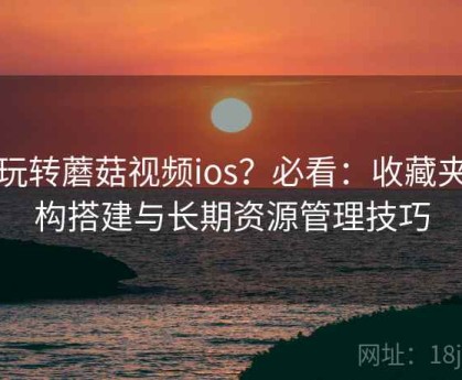 想玩转蘑菇视频ios？必看：收藏夹结构搭建与长期资源管理技巧