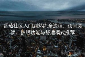番茄社区入门到熟练全流程：夜间阅读、护眼功能与舒适模式推荐