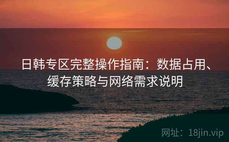 日韩专区完整操作指南：数据占用、缓存策略与网络需求说明