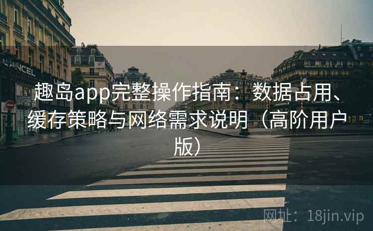 趣岛app完整操作指南：数据占用、缓存策略与网络需求说明（高阶用户版）