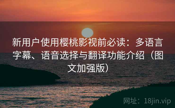 新用户使用樱桃影视前必读：多语言字幕、语音选择与翻译功能介绍（图文加强版）
