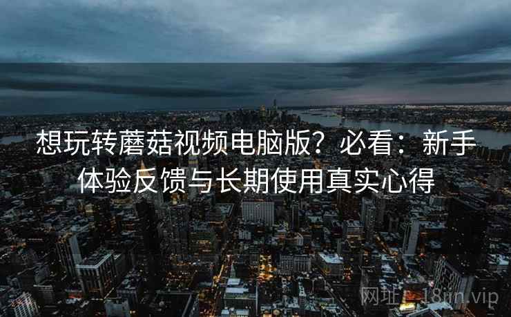 想玩转蘑菇视频电脑版？必看：新手体验反馈与长期使用真实心得