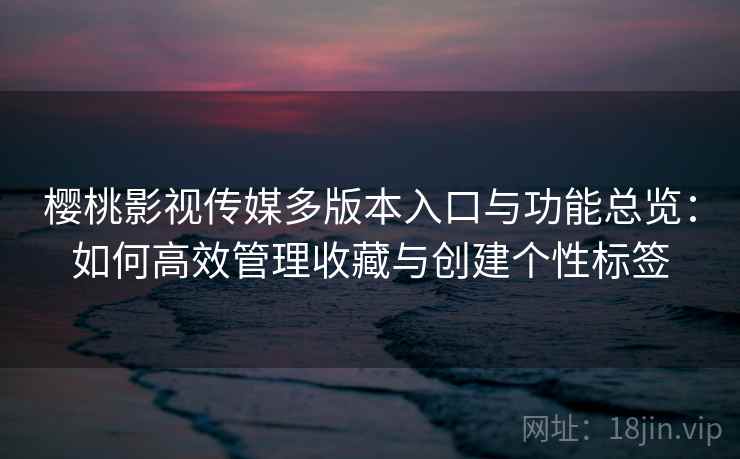 樱桃影视传媒多版本入口与功能总览：如何高效管理收藏与创建个性标签