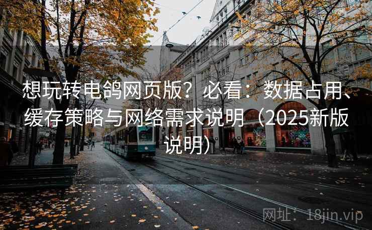 想玩转电鸽网页版？必看：数据占用、缓存策略与网络需求说明（2025新版说明）