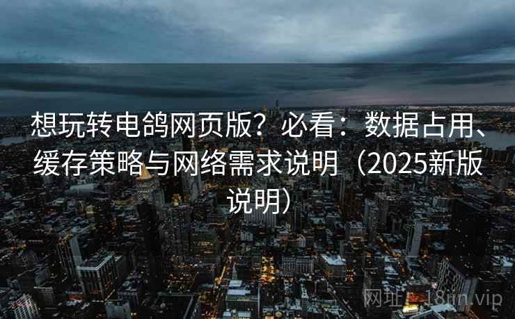 想玩转电鸽网页版？必看：数据占用、缓存策略与网络需求说明（2025新版说明）