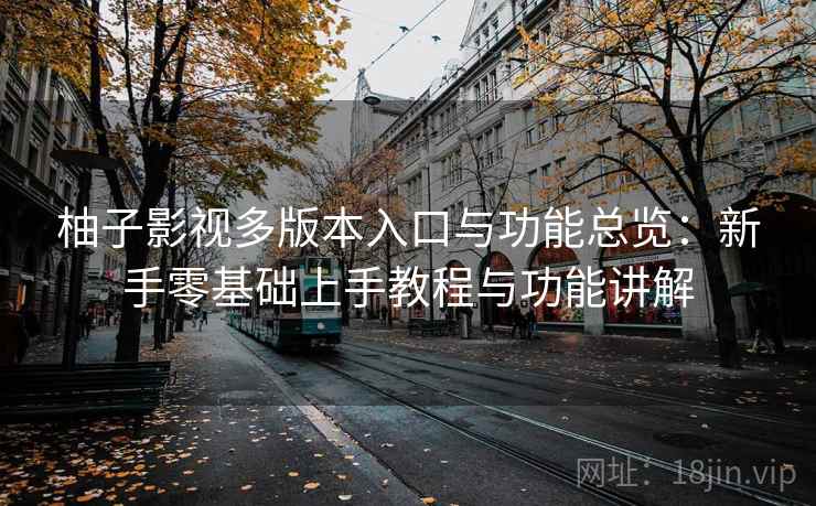 柚子影视多版本入口与功能总览：新手零基础上手教程与功能讲解